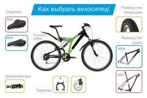 Как выбрать велосипед, основные критерии выбора