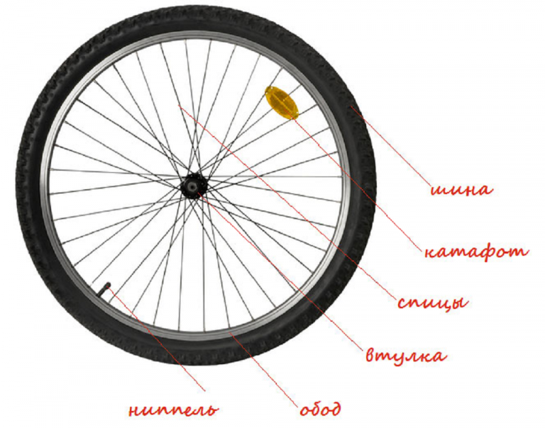 Как устроено колесо велосипеда